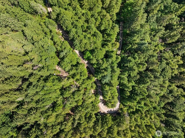 6133 Blue Mountain Ln NW, Seabeck, WA 98380 - photo 3