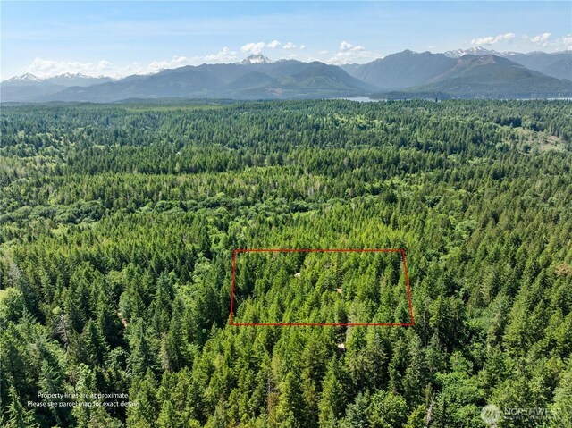 6133 Blue Mountain Ln NW, Seabeck, WA 98380 - photo 19