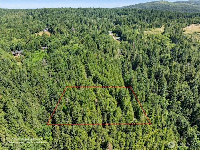 6133 Blue Mountain Ln NW, Seabeck, WA 98380 - photo 20