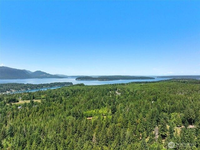 6133 Blue Mountain Ln NW, Seabeck, WA 98380 - photo 22