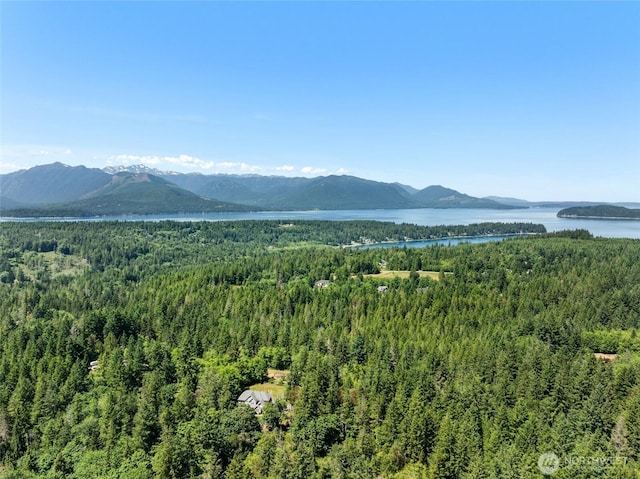 6133 Blue Mountain Ln NW, Seabeck, WA 98380 - photo 23