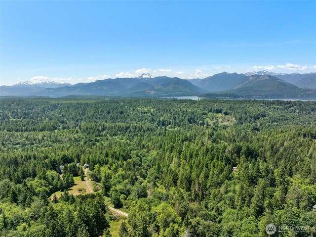 6133 Blue Mountain Ln NW, Seabeck, WA 98380 - photo 24