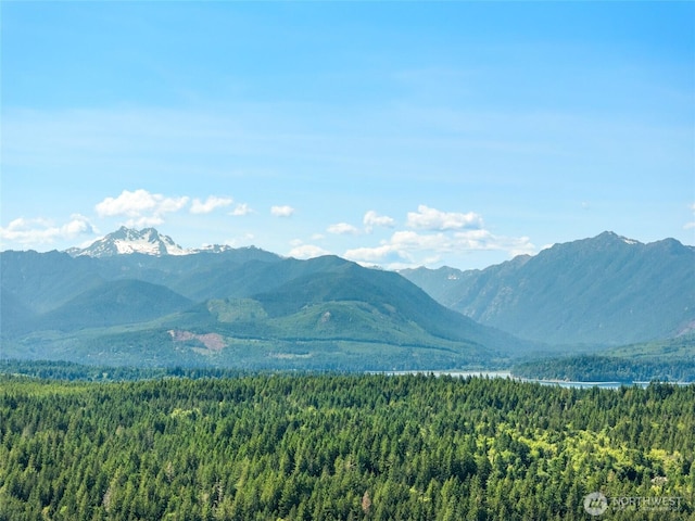 6133 Blue Mountain Ln NW, Seabeck, WA 98380 - photo 1