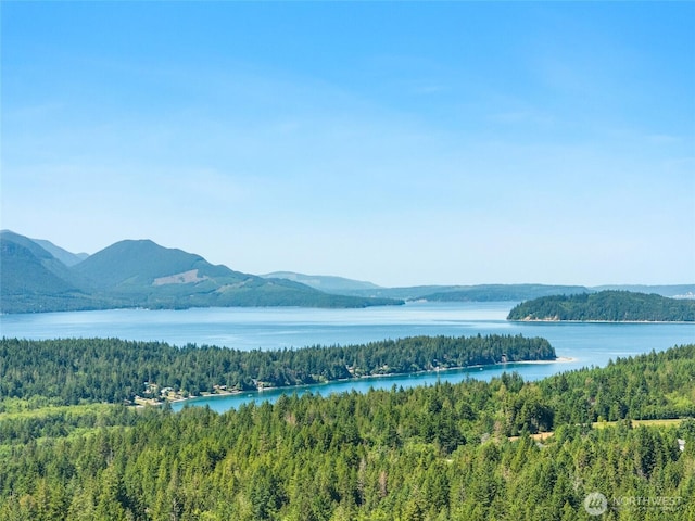 6133 Blue Mountain Ln NW, Seabeck, WA 98380 - photo 2