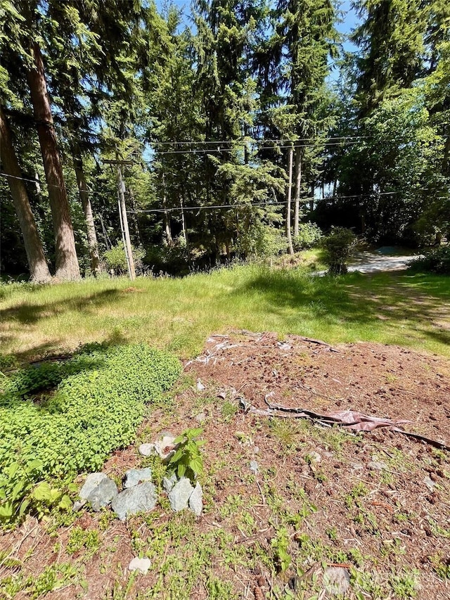 5072 View Rd, Langley, WA 98260 - view of yard
