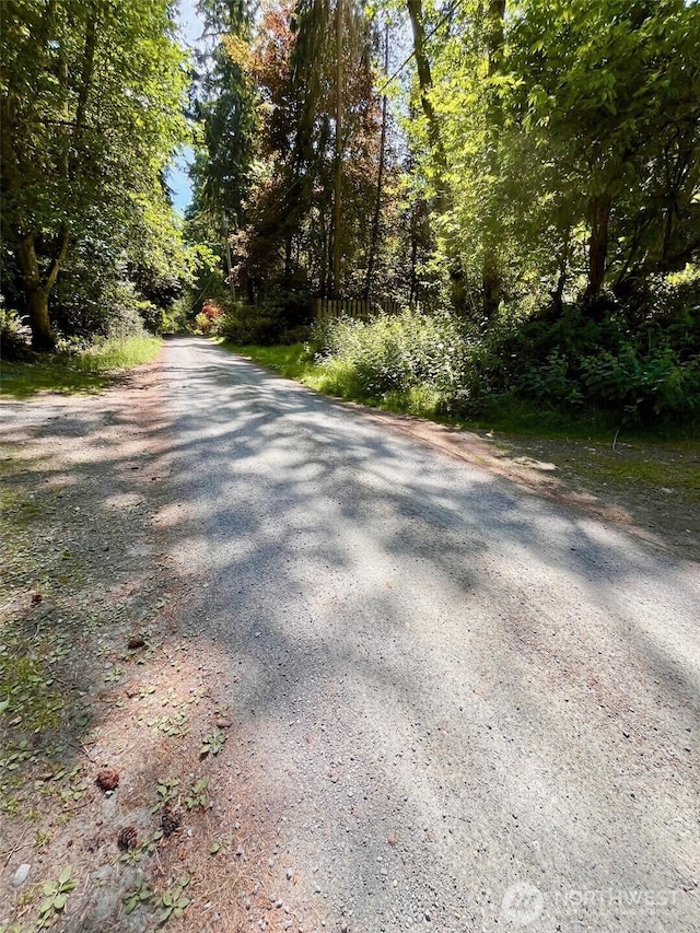 5072 View Rd, Langley, WA 98260 - view of road featuring a forest view
