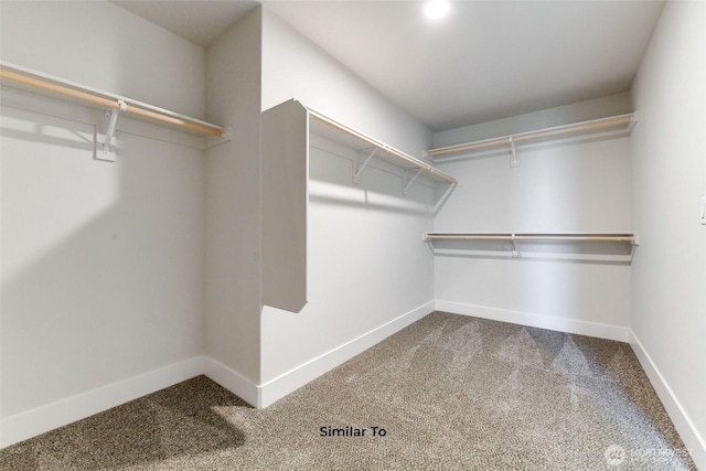 4246 W Sandy Ct, Moses Lake, WA 98837 - walk in closet with carpet