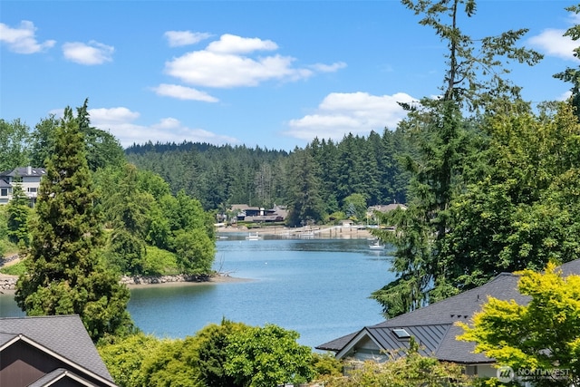 9310 73rd Street Ct NW, Gig Harbor, WA 98335 - photo 2