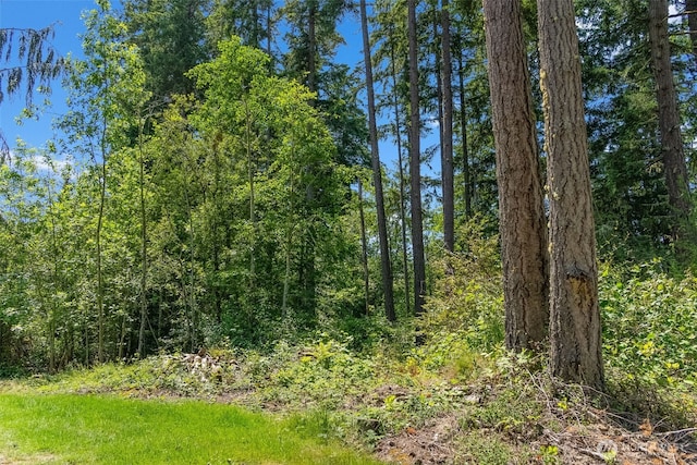 9310 73rd Street Ct NW, Gig Harbor, WA 98335 - photo 8