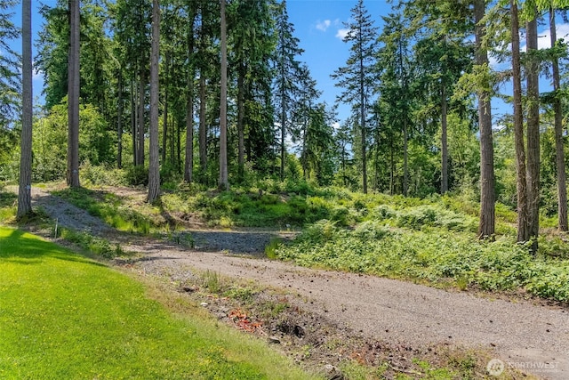 9310 73rd Street Ct NW, Gig Harbor, WA 98335 - photo 9