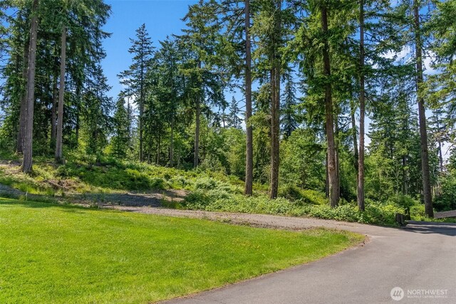9310 73rd Street Ct NW, Gig Harbor, WA 98335 - photo 10
