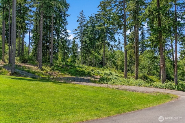 9310 73rd Street Ct NW, Gig Harbor, WA 98335 - photo 11