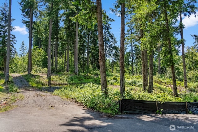 9310 73rd Street Ct NW, Gig Harbor, WA 98335 - photo 12