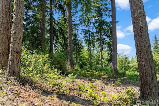 9310 73rd Street Ct NW, Gig Harbor, WA 98335 - photo 14
