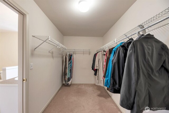 10120 225th Ter NE, Redmond, WA 98053 - photo 32
