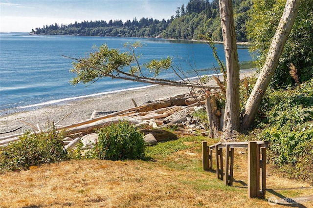 10413 NE Brackenwood Ln, Bainbridge Island, WA 98110 - photo 37