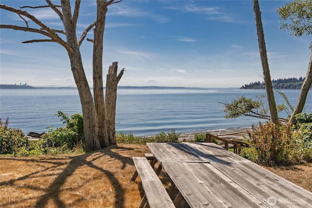 10413 NE Brackenwood Ln, Bainbridge Island, WA 98110 - photo 39