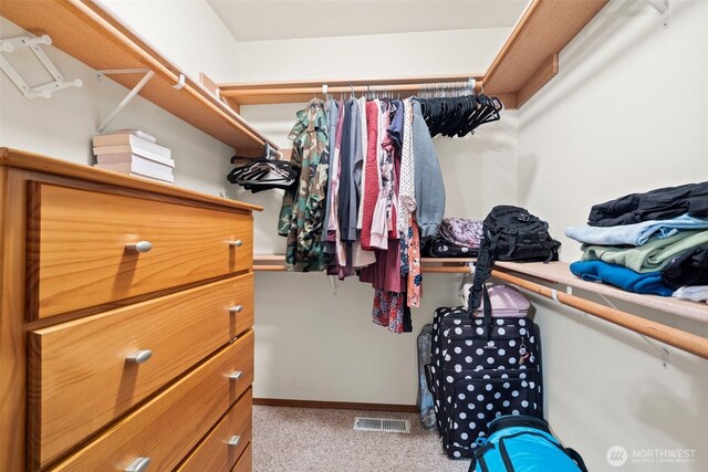 134 Wind River Dr, Chehalis, WA 98532 - walk in closet with light carpet