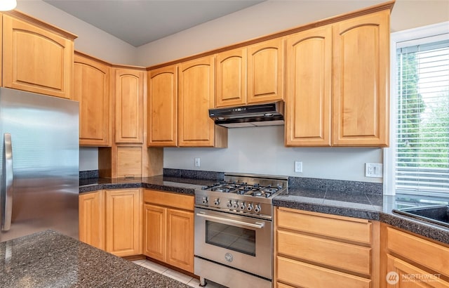 17713 92nd Ave E, Puyallup, WA 98375 - kitchen with stainless steel appliances, under cabinet range hood, light brown cabinetry, tile counters, and healthy amount of natural light