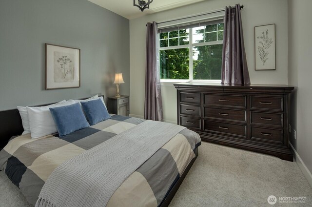 9207 158th Street Ct NW, Gig Harbor, WA 98329 - photo 28
