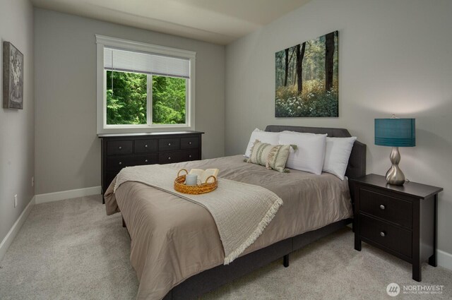 9207 158th Street Ct NW, Gig Harbor, WA 98329 - photo 30