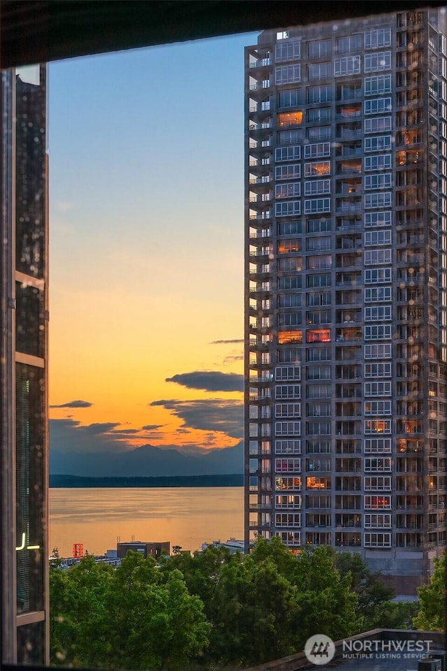 2000 1st Ave Unit 804, Seattle, WA 98121 - city view featuring a nearby body of water