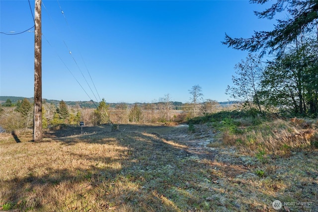 0 X Morris St, Raymond, WA 98577