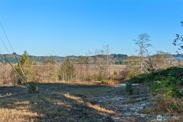 0 X Morris St, Raymond, WA 98577