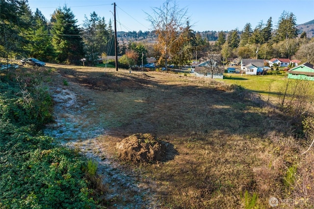 0 X Morris St, Raymond, WA 98577