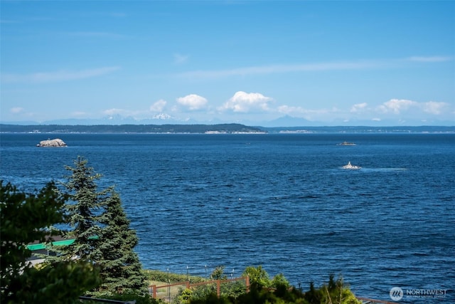 450 Olympus Blvd, Port Ludlow, WA 98365 - water view featuring a mountainous background