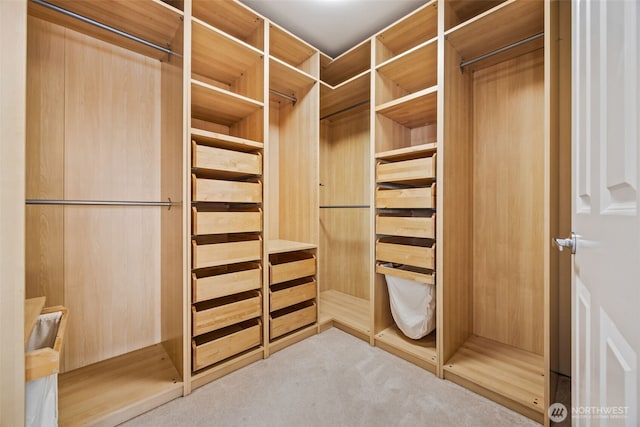 28440 Sound View Dr S, Des Moines, WA 98198 - walk in closet with carpet flooring