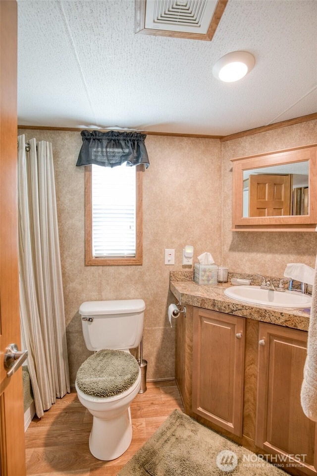 2685 E Hoquiam Rd, Hoquiam, WA 98550 - full bath featuring vanity, wood finished floors, a textured ceiling, and toilet