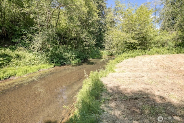 2685 E Hoquiam Rd, Hoquiam, WA 98550 - view of local wilderness