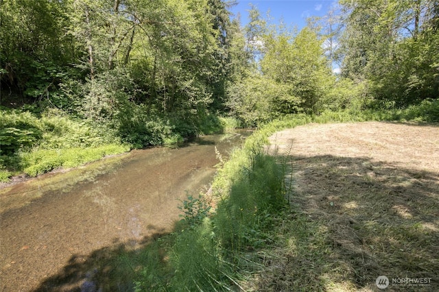 2685 E Hoquiam Rd, Hoquiam, WA 98550 - view of tree filled area