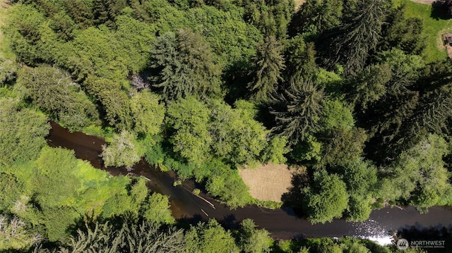 2685 E Hoquiam Rd, Hoquiam, WA 98550 - drone / aerial view