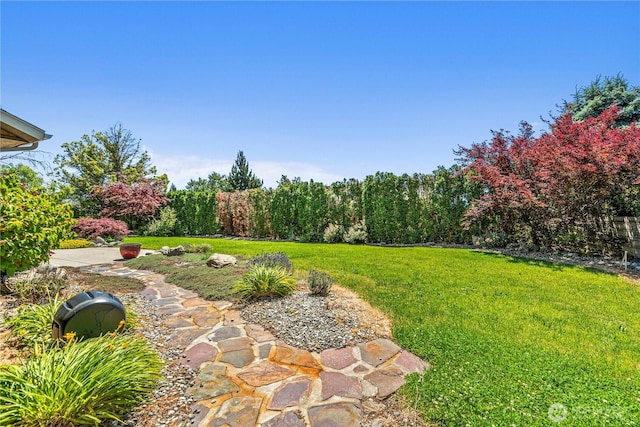 3651 School St, Wenatchee, WA 98801 - view of grassy yard