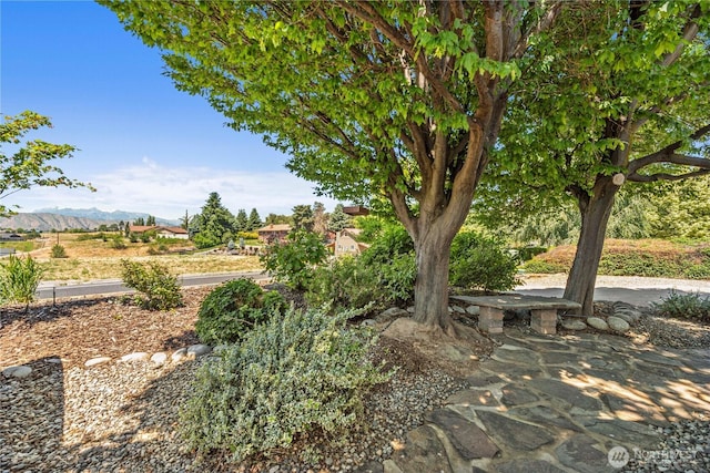 3651 School St, Wenatchee, WA 98801 - view of yard with a mountain view