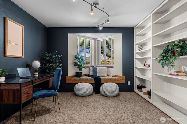 3651 School St, Wenatchee, WA 98801 - home office featuring carpet floors and rail lighting