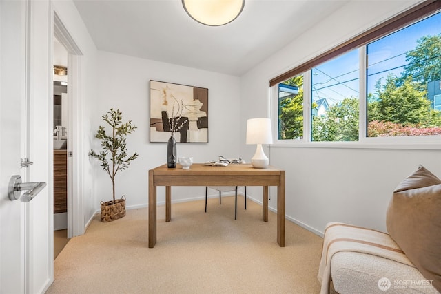 203 20th Ave E, Seattle, WA 98112 - home office featuring carpet and baseboards