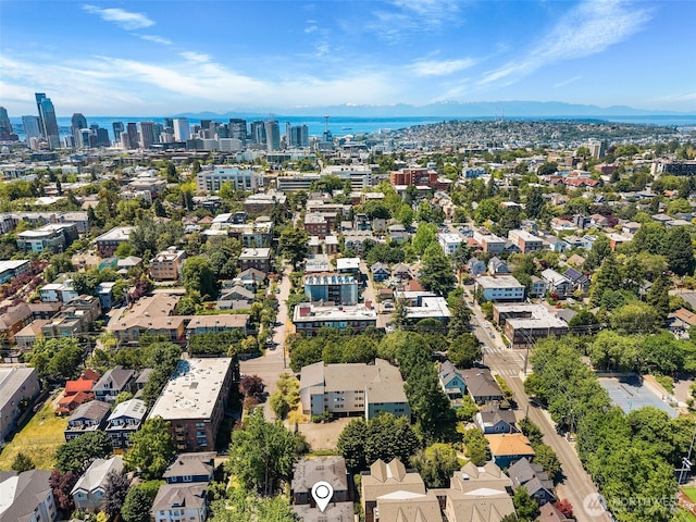 203 20th Ave E, Seattle, WA 98112 - drone / aerial view of skyline