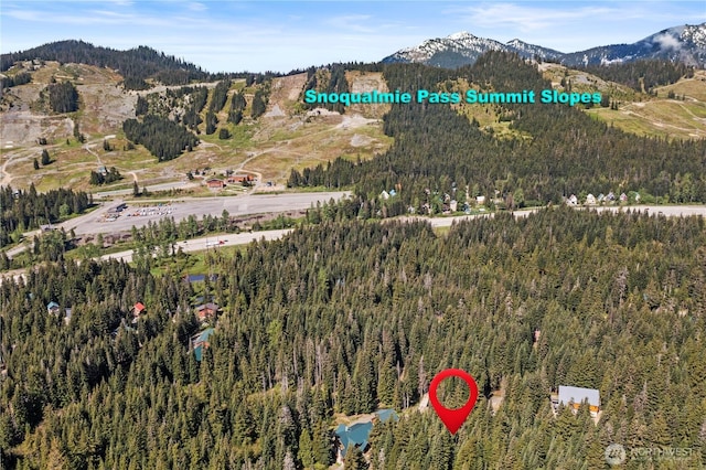 710 Yellowstone Rd, Snoqualmie Pass, WA 98068 - photo 3