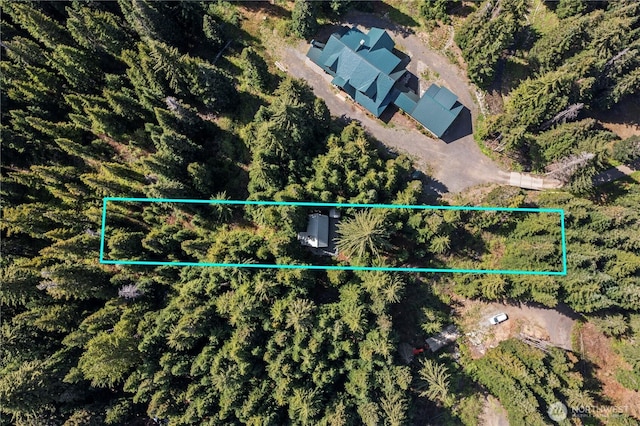 710 Yellowstone Rd, Snoqualmie Pass, WA 98068 - photo 1