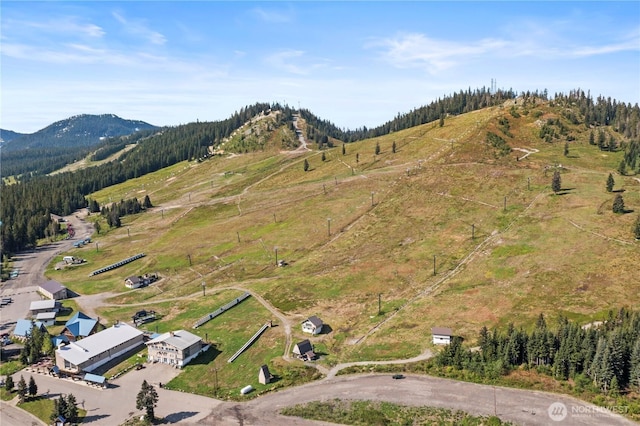 710 Yellowstone Rd, Snoqualmie Pass, WA 98068 - photo 31