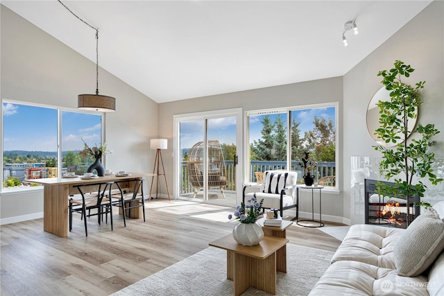 9422 49th Ave S, Seattle, WA 98118 - living area featuring plenty of natural light, light wood finished floors, and high vaulted ceiling