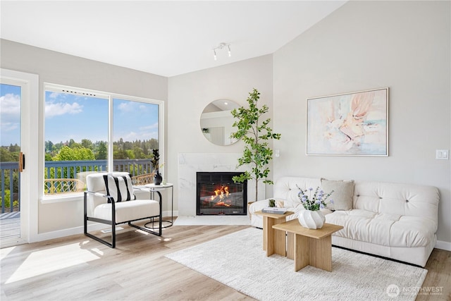 9422 49th Ave S, Seattle, WA 98118 - living room with wood finished floors, a high end fireplace, and vaulted ceiling