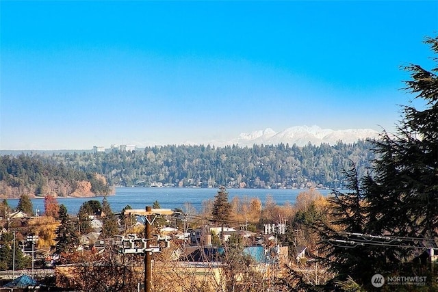 9422 49th Ave S, Seattle, WA 98118 - water view featuring a forest and mountains