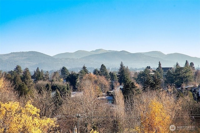 9422 49th Ave S, Seattle, WA 98118 - view of mountain backdrop