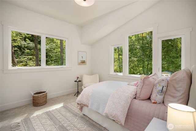 8636 NE Belle Hill Ln, Bainbridge Island, WA 98110 - photo 28