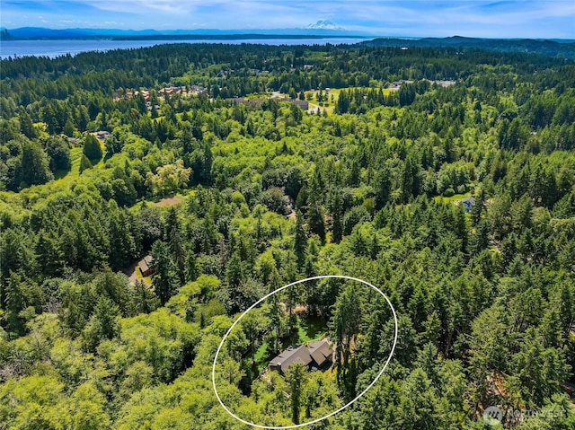 8636 NE Belle Hill Ln, Bainbridge Island, WA 98110 - photo 39