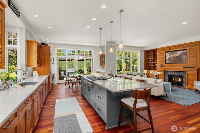 8418SE 44th St, Mercer Island, WA 98040 - kitchen featuring a sink, recessed lighting, plenty of natural light, and dark wood-type flooring